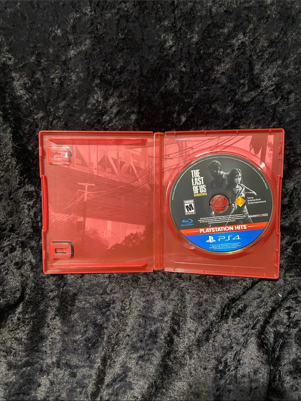Sony The Last of Us Remastered (PS4) - Red Case